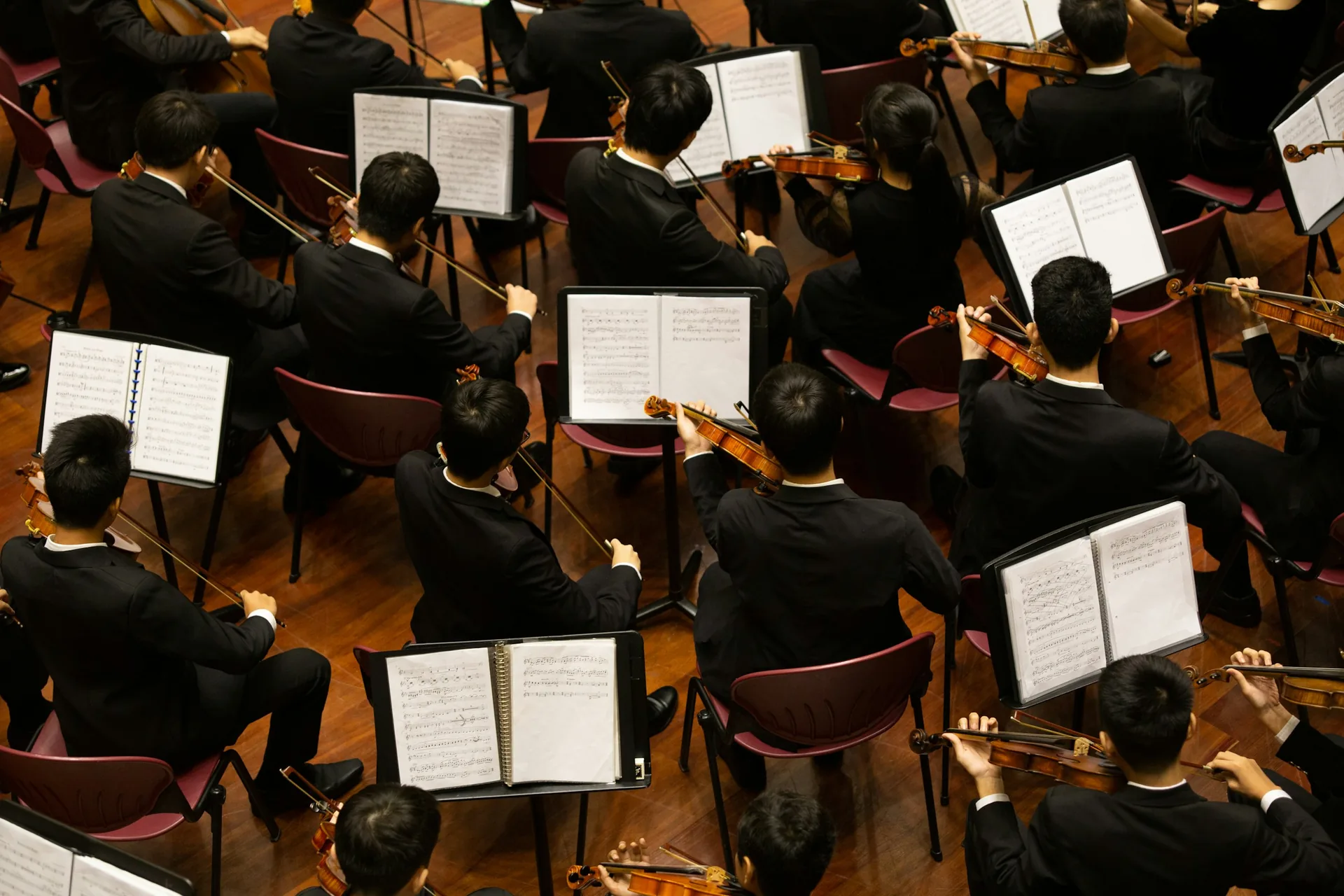 Musiciens d’orchestre vus du dessus, archets levés