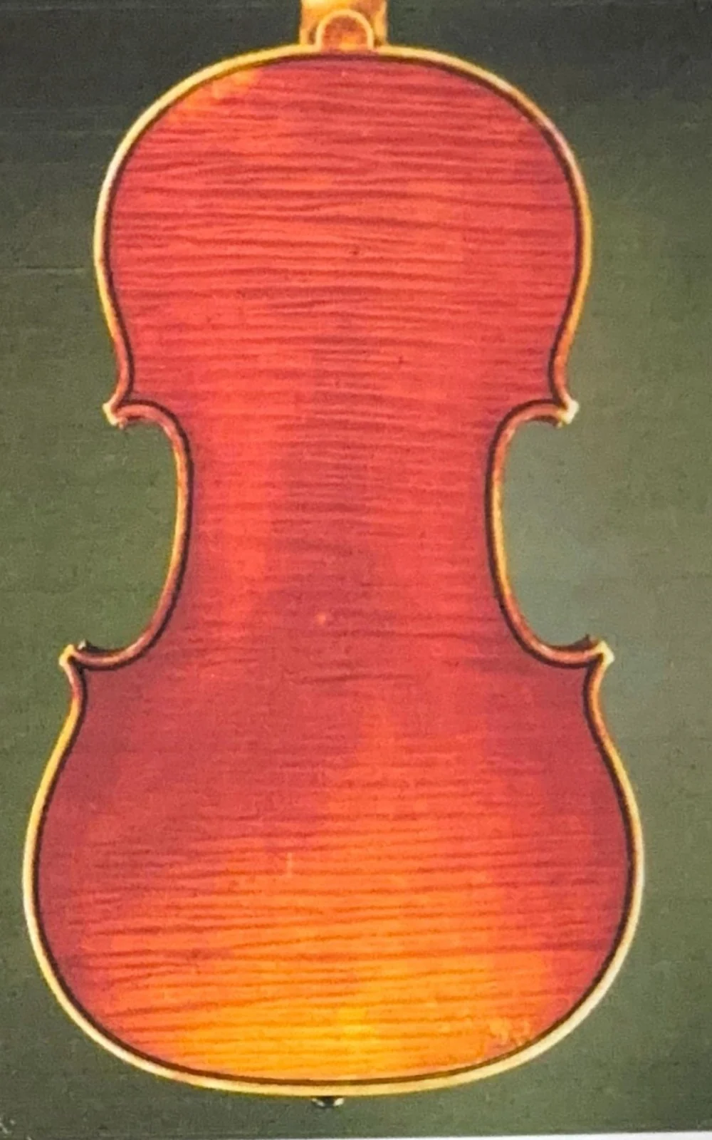 Fond d’érable du violon Vuillaume n° 8 de 1823